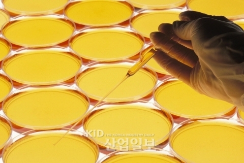 화학 산업 시장 아시아 ‘맹추격’