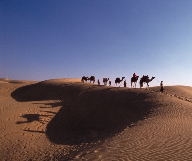 대-중기 손잡고 ‘중동 환경시장’ 공략 나선다