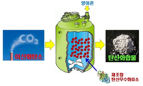 '온난화 주범' 이산화탄소로 고부가가치 소재 개발