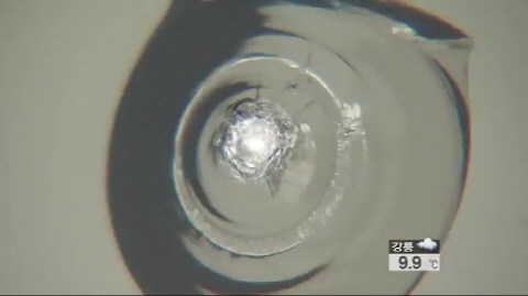 강남 쇠구슬난사, 강남 일대 16곳  유리창 ‘와장창’