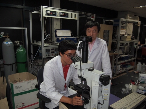 모든 빛에 작동하는 무지갯빛 나노안테나 개발