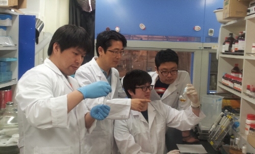 차세대 나노크기 복합소재‘야누스 나노입자’개발