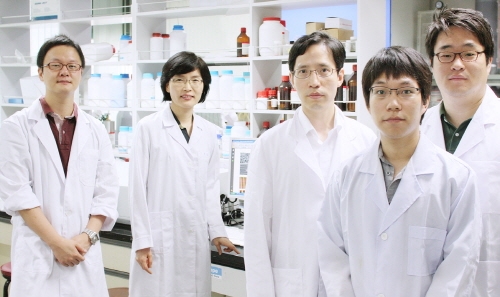 나노패턴기술 이용, 차세대 태양전지 광전효율↑