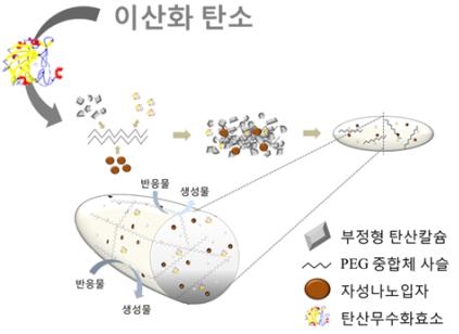 반복사용이 가능한 이산화탄소 저감 탄산칼슘 생촉매 복합체 개발