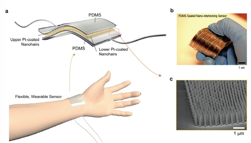 사람의 피부처럼 느끼는 다기능 초감도 센서 개발
