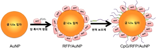 ‘금 알갱이로 항암백신을 만들다’