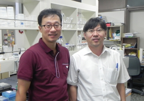 남성의 수명이 여성보다 짧은 이유 밝혀졌다 