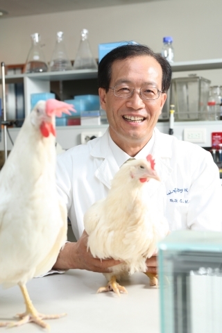 건국대 “닭고기 수출기업에 기술이전 합니다”