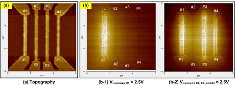 [POLICY] ‘나노융합이 열어가는 제조업 미래’ 산업 현신 주도  