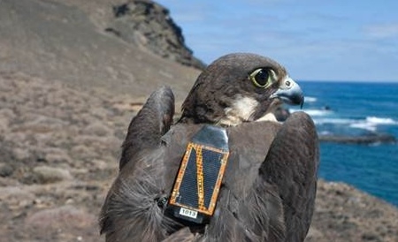 ST마이크로일렉트로닉스-암스테르담 대학교, MEMS 기술 ‘새 추적기’