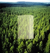 테트라팩, 2012년 주요 친환경 성과 발표