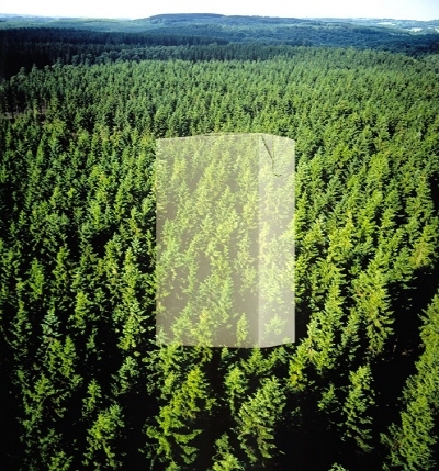 테트라팩, 2012년 주요 친환경 성과 발표