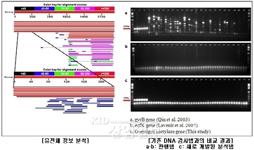 패혈증 원인세균 ‘녹농균’ 정밀 진단기술 개발