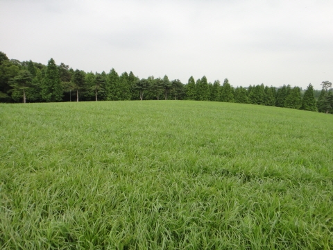 한국형 초지 부활을 꿈꾼다