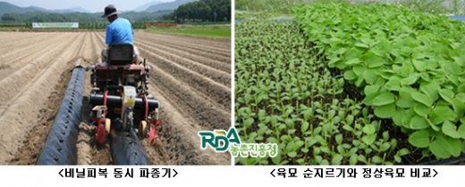 파종·이식 기계화로 일손 걱정 '뚝'