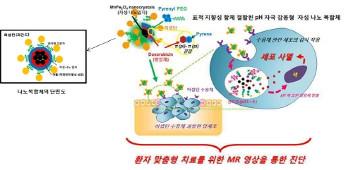 나노조영제 ‘표적화 기술’10억분의 1미터 미세 제어