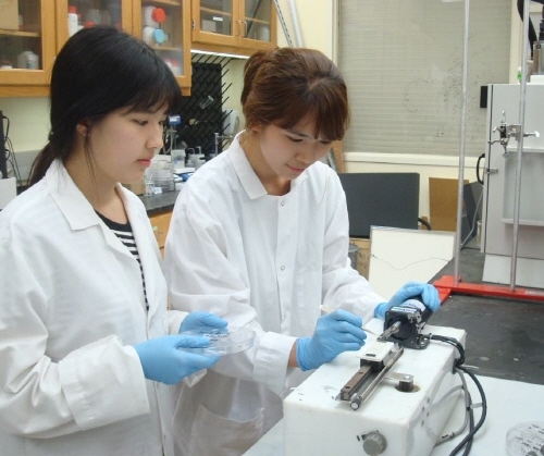 섬유형태 차세대에너지저장장치 개발