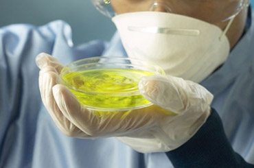 [INDUSTRY]세계 시장 선점 ‘산업 핵심 기술개발’