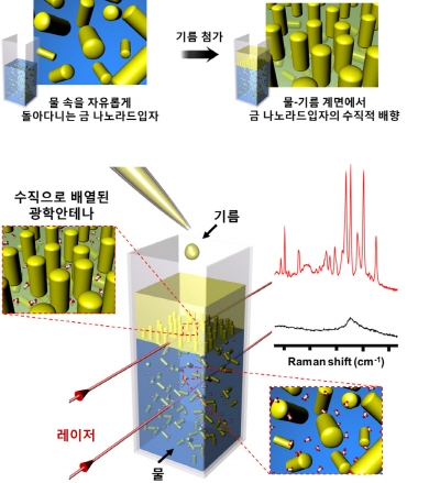 액체 속 금속나노입자 자유제어 가능한 올리브오일