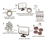 세계 최초 맞춤형 미생물 균주 대량 생산기술 개발