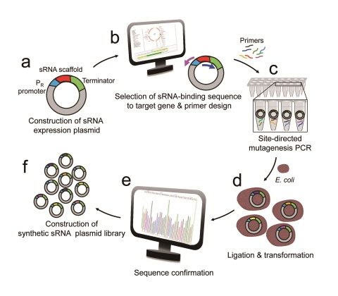 세계 최초 맞춤형 미생물 균주 대량 생산기술 개발