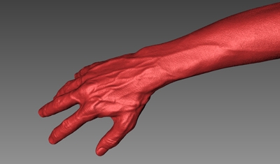 [COMPANYⅡ]3D프린터 대중화 위해서는 3D스캐너 대중화가 ‘우선’