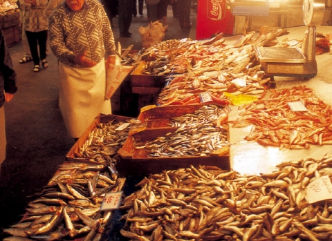 “후쿠시마수산물 수입금지 조치 더욱 강화해야”