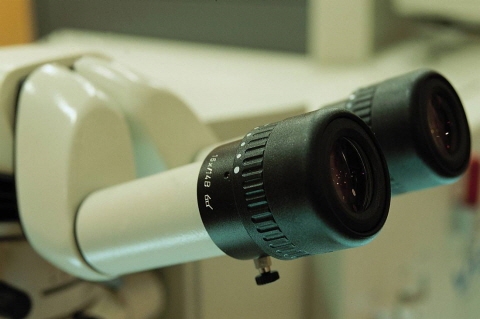 부속기기 전세계 시장, 2013년 40억 달러 돌파 전망