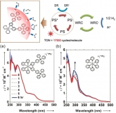 수소 생산 효율 높이는 ‘인공 광합성’ 기능 향상