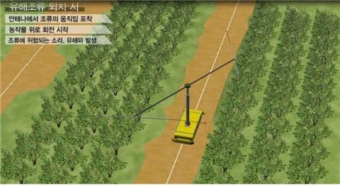 'IT EXPO BUSAN 2013' 무인자동로봇이 유해조류 퇴치