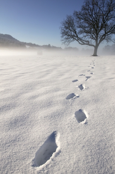 11월 중순부터 초겨울…12월 서해안 폭설 예상