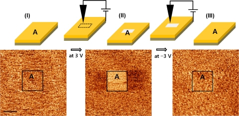 간단한 공정 비휘발성 유기분자 메모리 소자개발