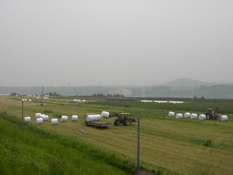 곤포사일리지 제조단지, 연간 198억 원 외화절감 효과