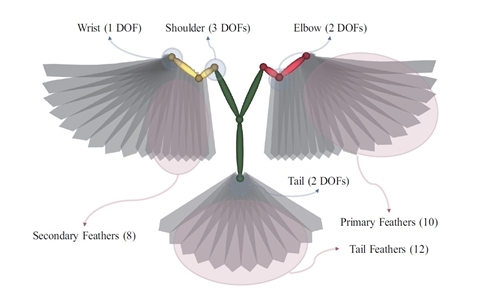 3차원 모델링으로 비둘기 비행 재현