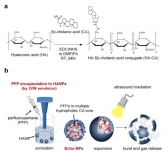 나노 크기 초음파 진단용 조영제 물질 개발