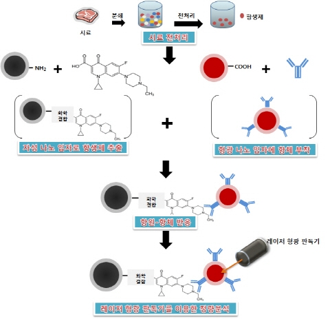 나노 이용한 식품 중 잔류항생제 신속 측정기술 개발