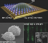 나노횃불 만드는 금속나노칩 개발