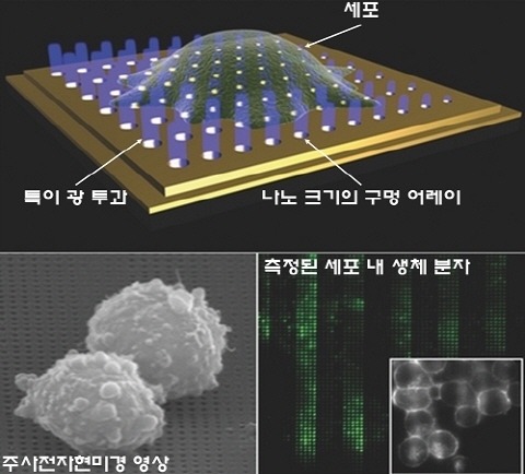 나노횃불 만드는 금속나노칩 개발