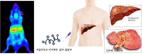 포스텍, 신풍제약에 C형 간염 치료기술 이전