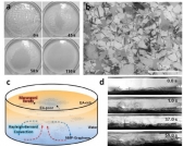 간단하고 빠른 방식의 그래핀 필름 제조법 신규 개발