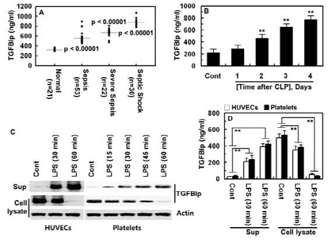 패혈증 진단을 위한 마커 발굴