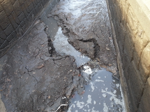 환경오염 가중 업체 무더기 적발