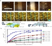 전기반응성 1000배 뛰어난 산화그래핀 액정재료 개발