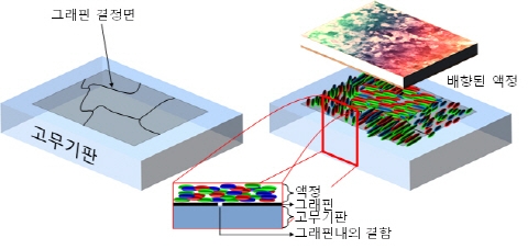 그래핀 나노소재 결합분석 기술개발 상업화