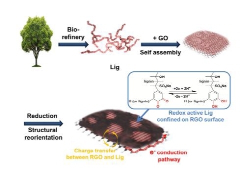 목재 폐기물로 친환경 에너지 저장 소재 세계최초 개발