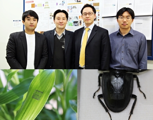 살아있는 곤충에 부착, 작동하는 전자회로 구현