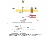 국산 글로벌항암제의 꿈, 현실화 가능성 열었다