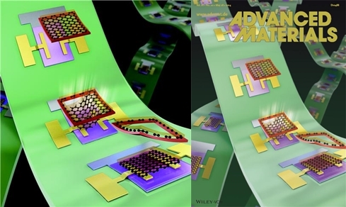 그래핀 이용한 다양한 전자소자 제작 길 개척