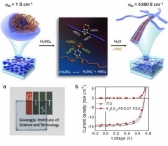 전기전도도 향상시킨 인쇄형 플라스틱 투명전극