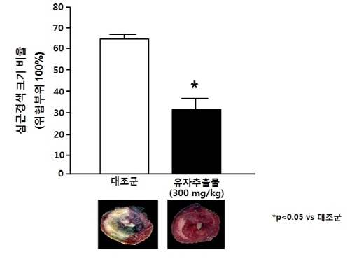 국산 ‘유자’ 심혈관 질환 예방 효과